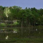 麓野公园发挥它支持生物多样性的潜力