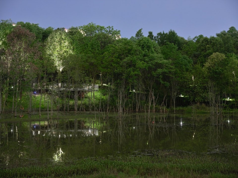 是成都平原典型的土地肌理