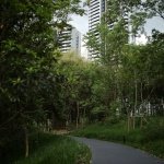 我们选择保留它原始的