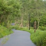 Green Field Park e