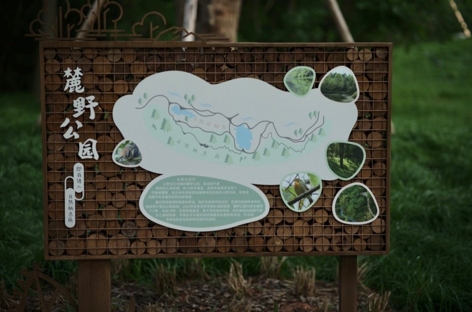 英亚体育新手怎么玩