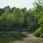 An Ecological Wild