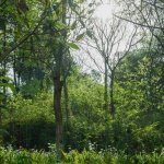 感谢 四川乐道景观设计有限英亚体育新