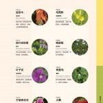 麓野公园发挥它支持生物多样性的潜力