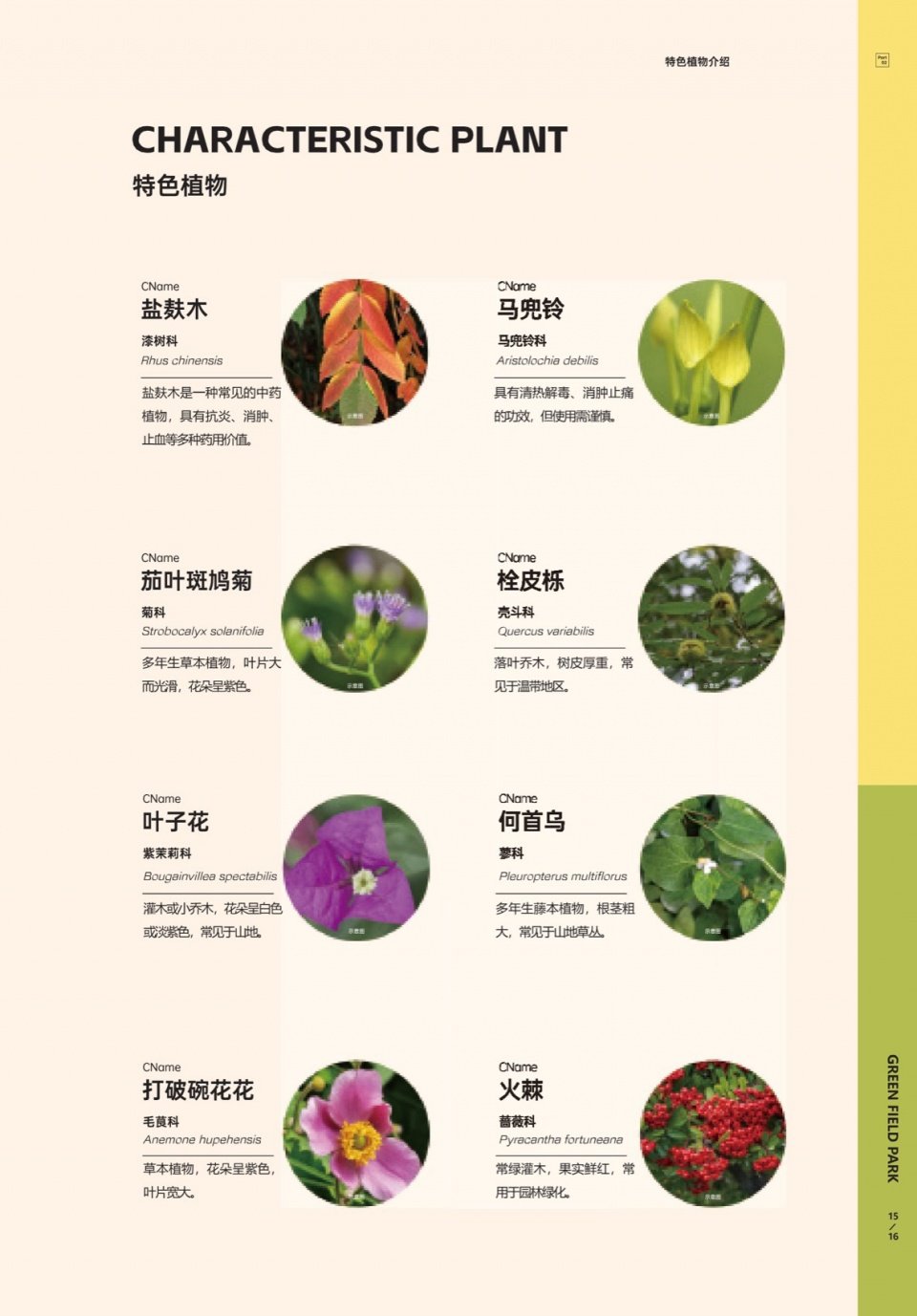 享受自然赠予的丰富多彩和无限畅想