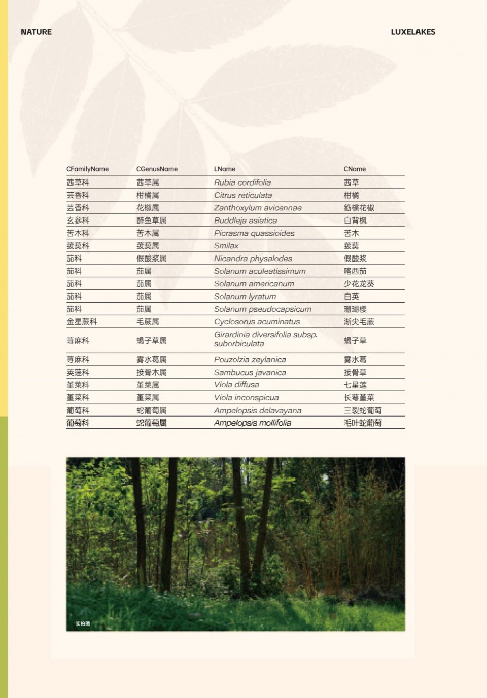 相关文章