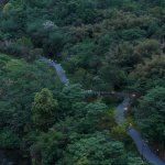 坐落于城市山野浅丘地貌的麓野公园