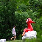 video ©四川乐道景观设计有限英