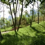 Green Field Park e
