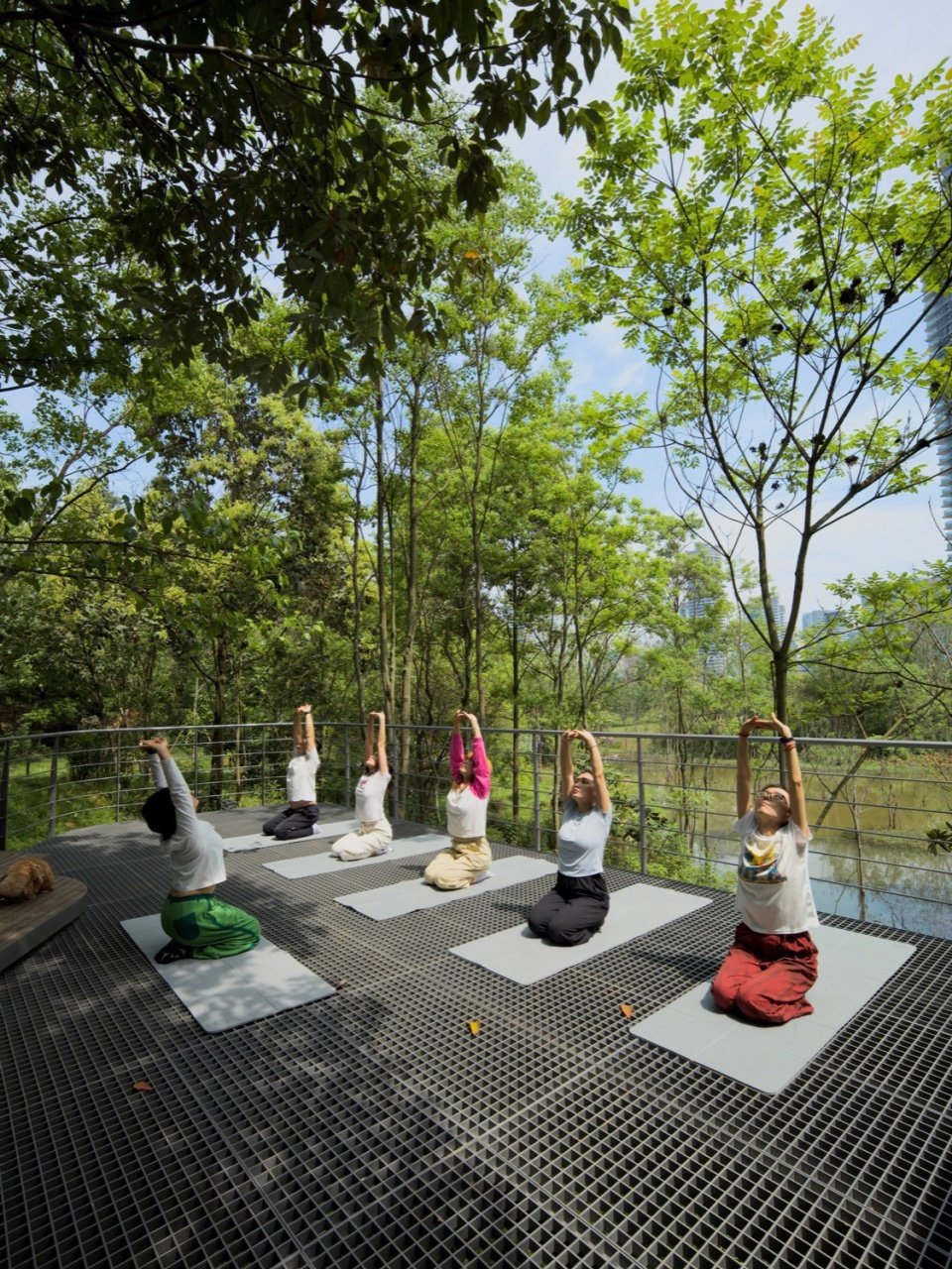 Sichuan LEDA Lands