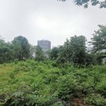 An Ecological Wild