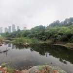 感谢 四川乐道景观设计有限英亚体育新