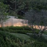 李上阳
