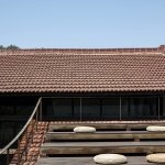 试图在这片等待新生的土地上