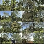 而是构建一种场景美学