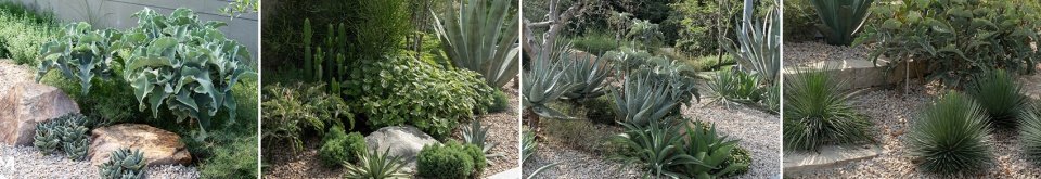 植物场景会随着时间和自然场景逐渐融洽