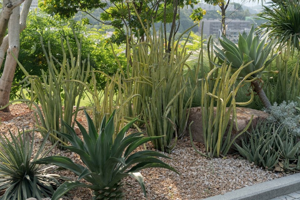 Plant design is of