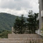 与山林共生