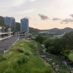 相关文章更多关于他们