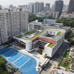 大树与草地一起成长