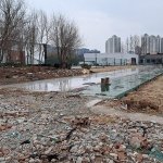 构建花海