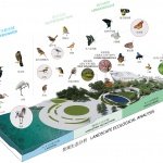 深圳湾文化广场即将融入城市的日常