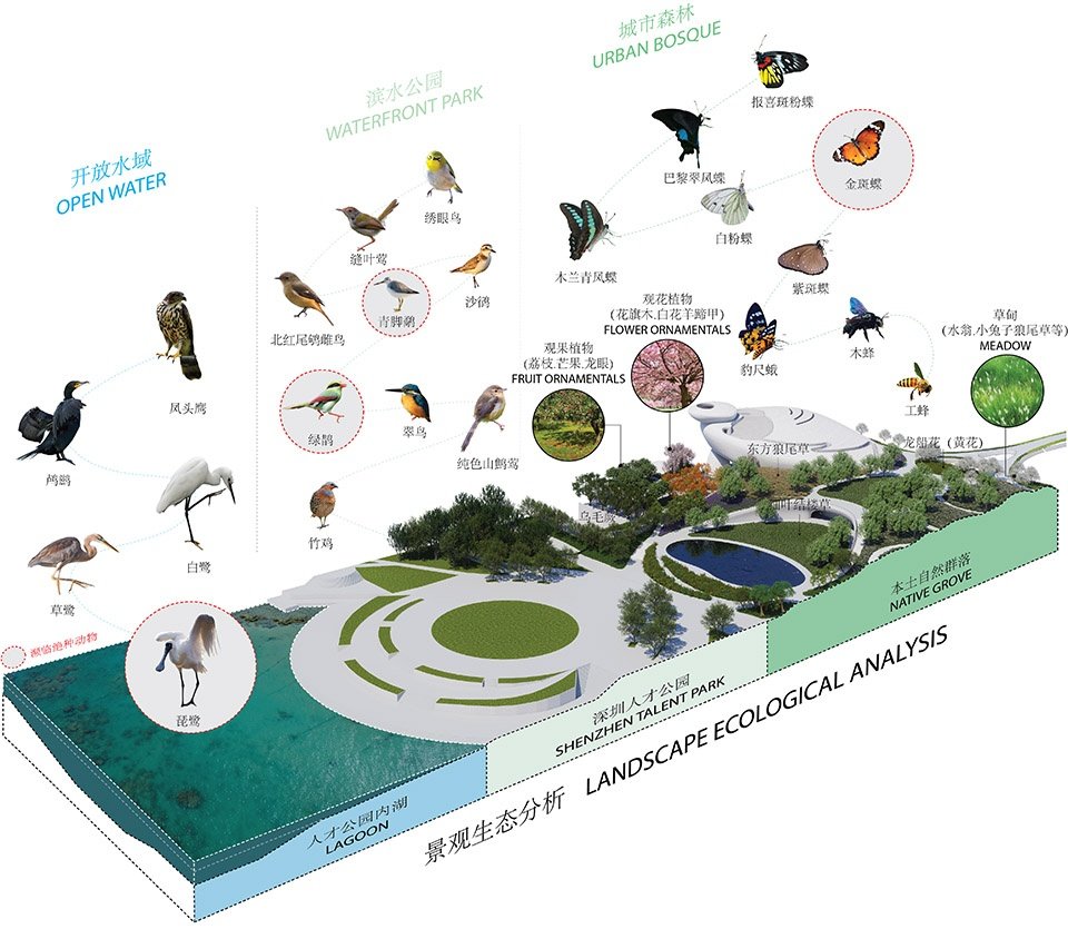 迎接生态回归的滨海绿地