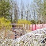 构建花海