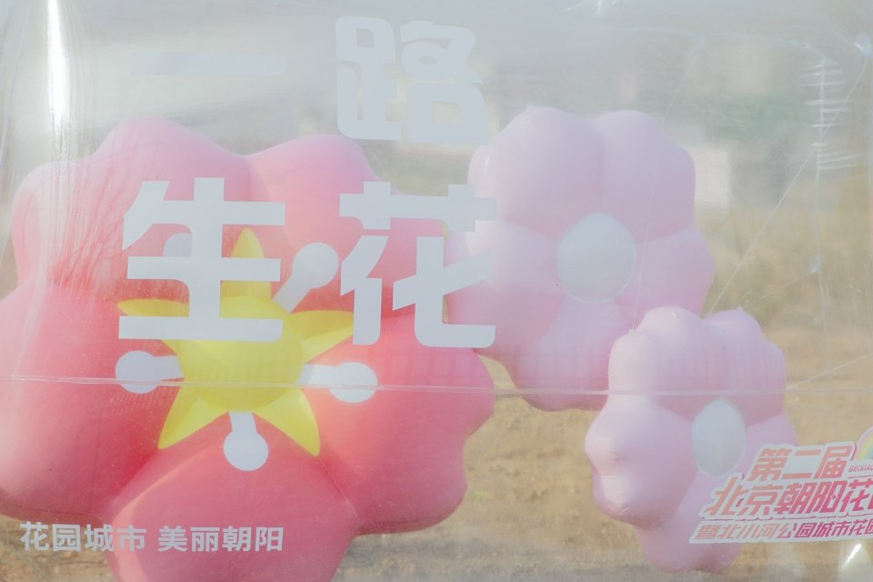 城市生态网络系统的功能升级 Chal