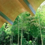 and bamboo factori