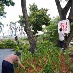 促进社区归属感并确保这些地方公园成为