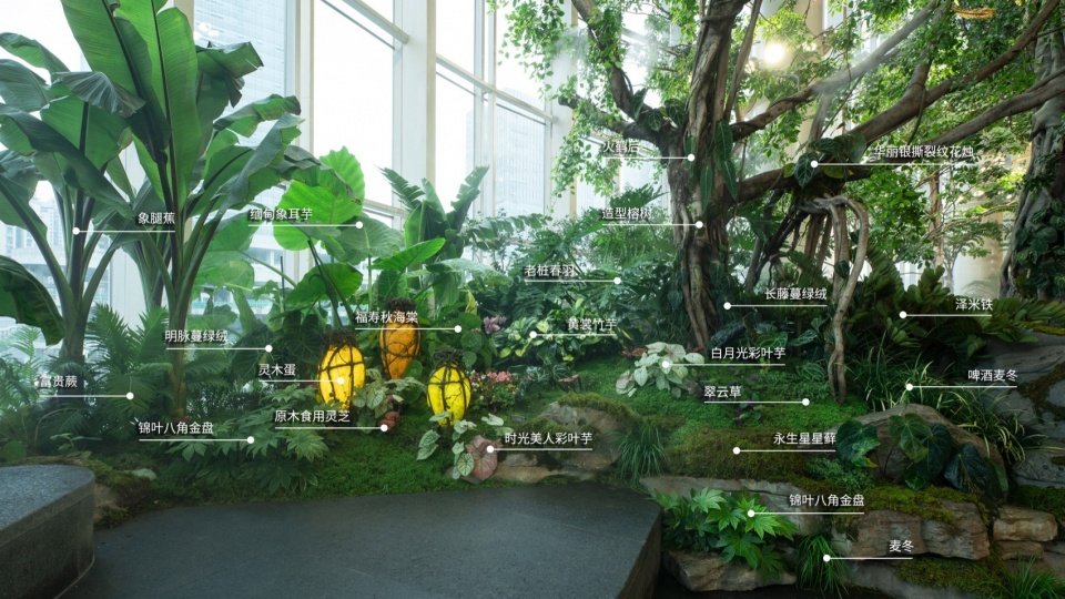 200多种奇花异草在机械脉络中蓬勃生
