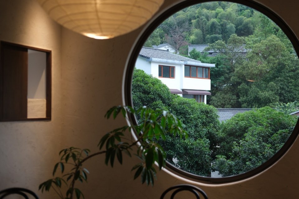 桂花树下一杯茶