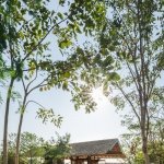 the cabin embraces