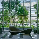 鲜有机会在公共场地活动