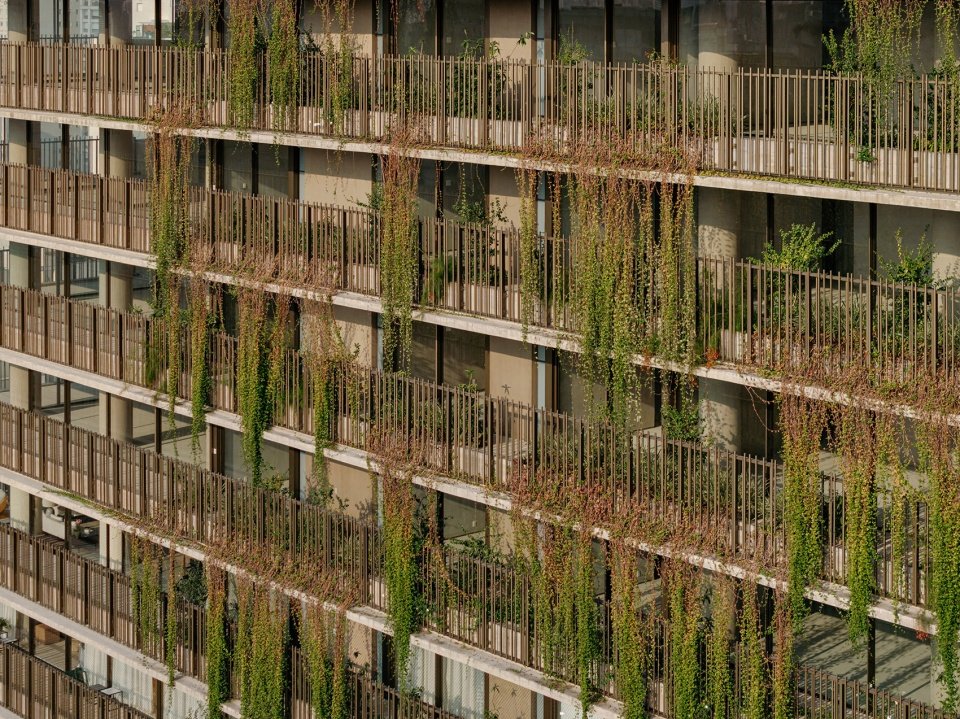 以住宅为主的城市肌理之间的过渡带