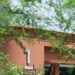 相关文章本项目以叙事手法和公建化的语