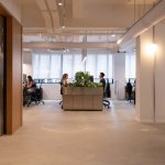 Managing Director 