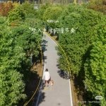 后疫情时代