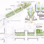 the Royal Botanic 