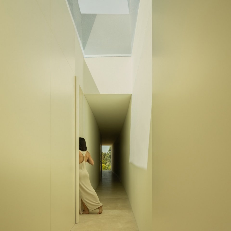 感谢 Fran Silvestre 