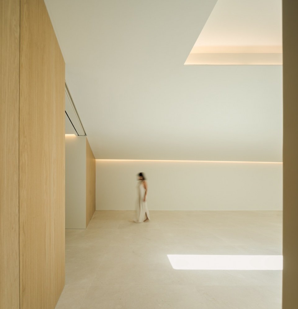 Fran Silvestre Arq