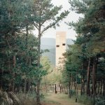 This small archite