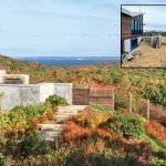 shrub thickets