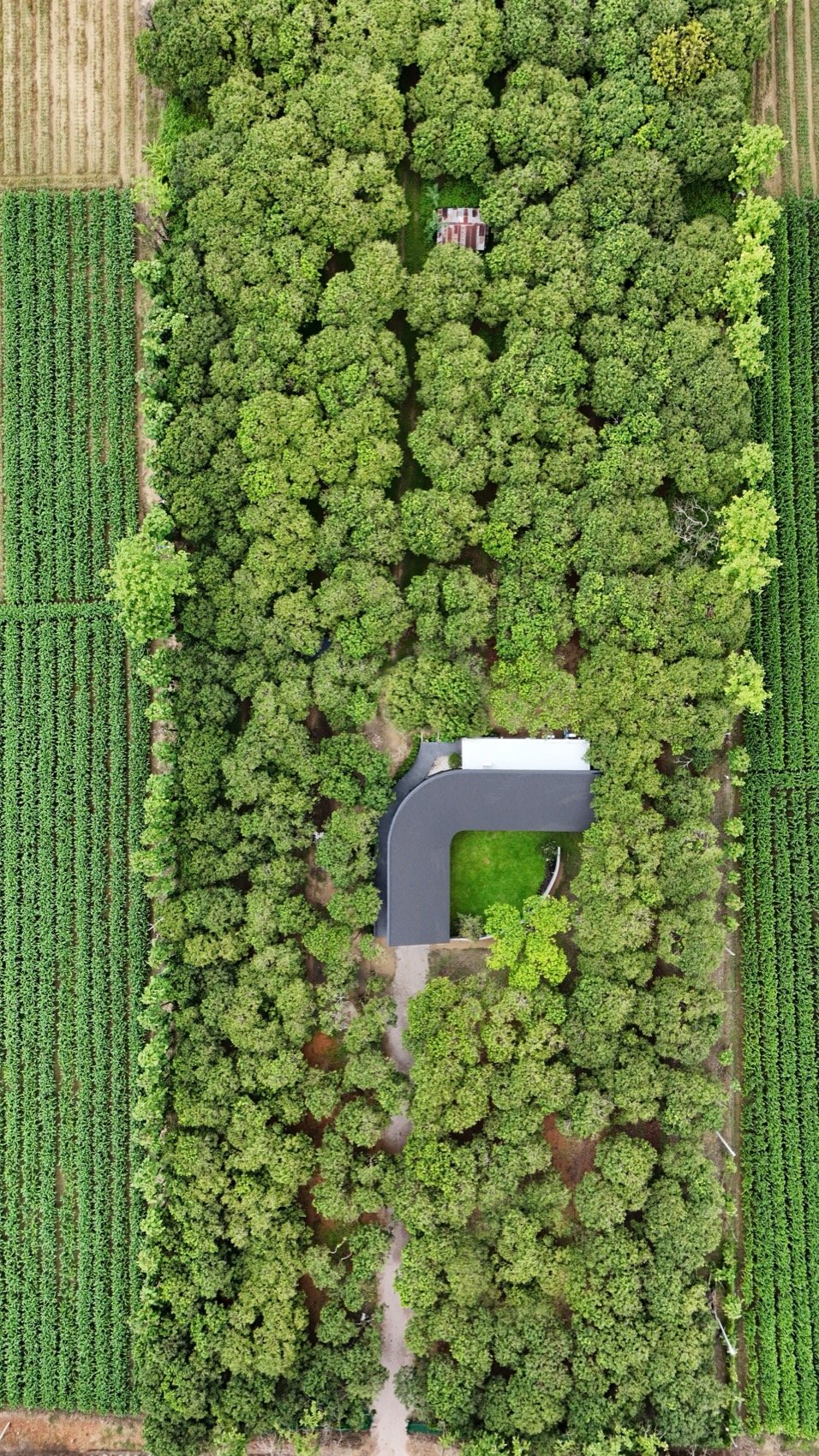 一个远离日常喧嚣的逃离之地
