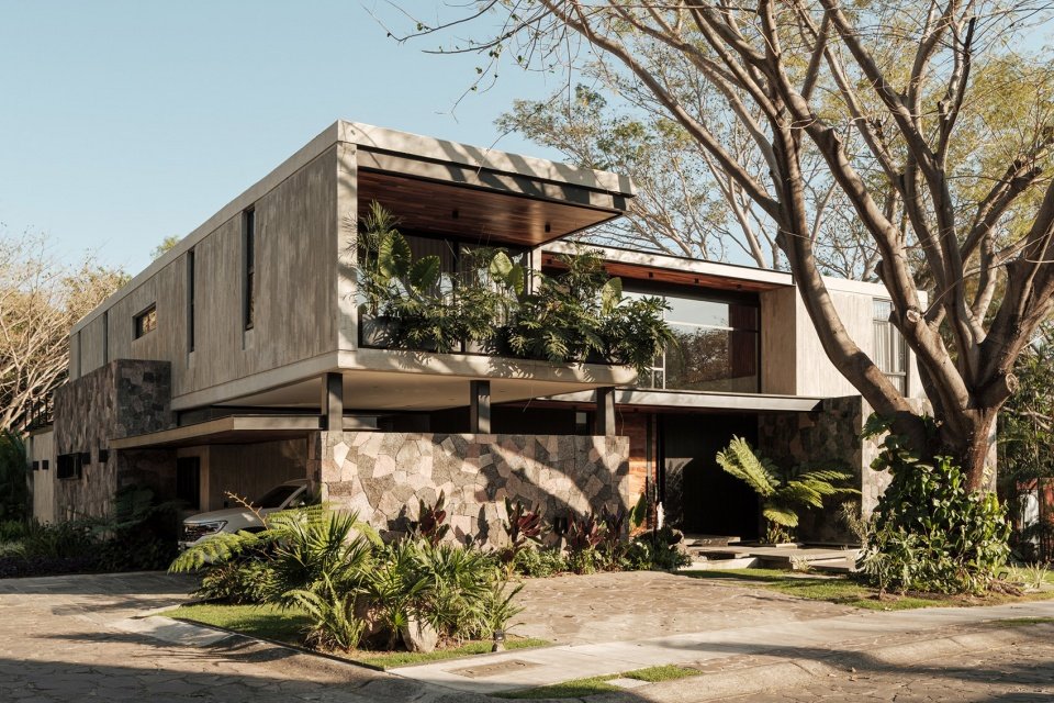 感谢 Di Frenna Arqui