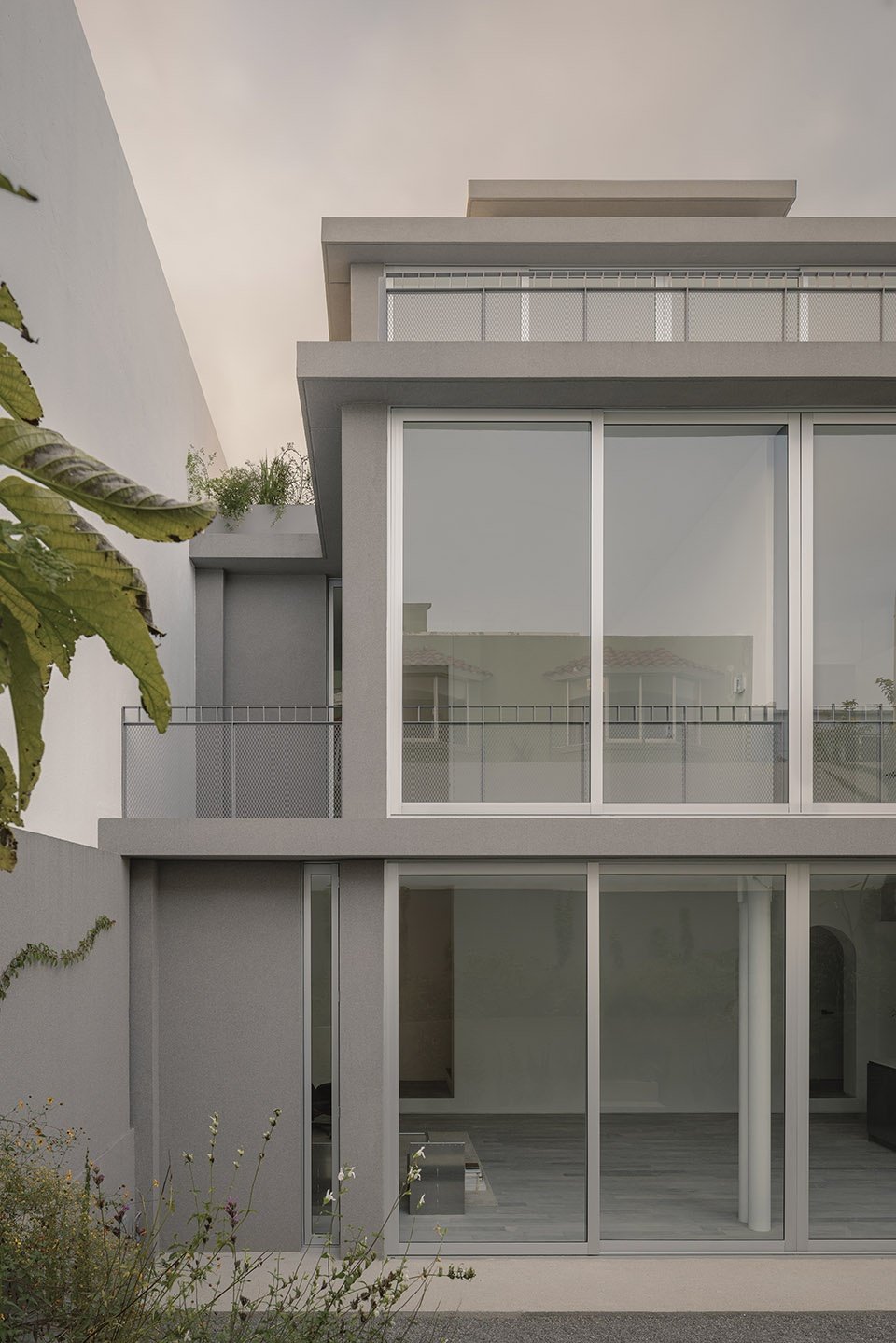 它牢牢扎根于地面