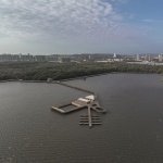 造成了环境退化