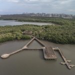 并使其逐渐与城市脱节