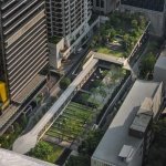 感受都市与自然之间微妙的平衡